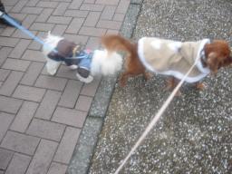 海くん♪そらのおちりクンクン♪