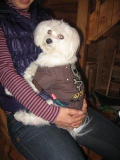 海くんはおねえちゃんに抱っこ