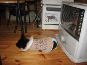 初ス－トブの前でねんね