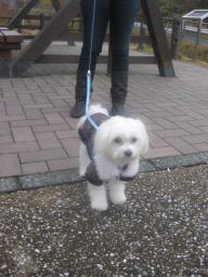 ぬくぬくな海くん♪♪寒いよぉ～