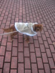 もう帰るの・・・まだ旅行したいなぁ♪♪