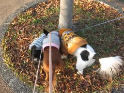 みんなでヒソヒソ話中♪