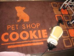 大阪に到着♪♪ん？ここはクッキ-のお里♪