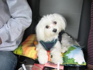 海くん♪も一緒♪