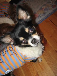 ねぇねぇはおねんね中～