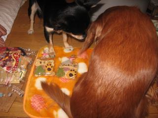 あったか毛布さん♪♪の上にそらったら・・・