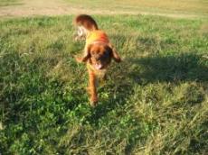 ひゃほ～ぉい♪