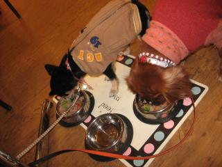 生まれてはじめてのおご馳走♪♪