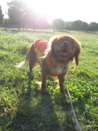 気持ちいねっ♪でへっ