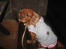 ミルクミルク♪まだかな～まだかな～