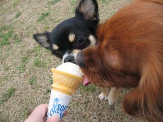 寒いのにちょっと食べたよ♪
