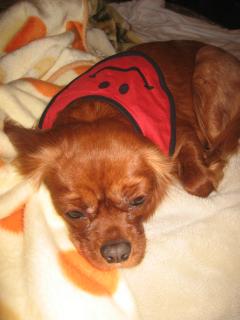 ファションショ-♪