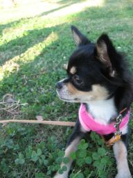 ねぇねぇ～今日は超ご機嫌ね♪