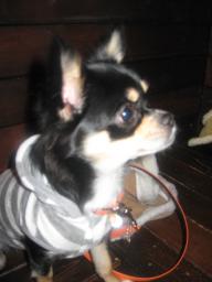 あたちのも来るかな～～～