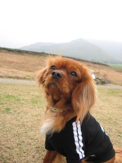 大自然な高原で♪