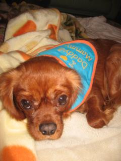 ファションショ－♪