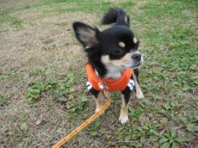 とっても寒い中～走ったよ♪