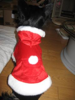 クッキ-サンタさん♪