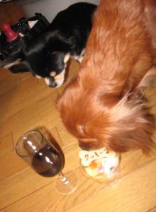 帰ってきて♪またまたお祝い♪