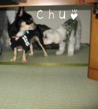 仲直りｎｏ♪（おちりで）