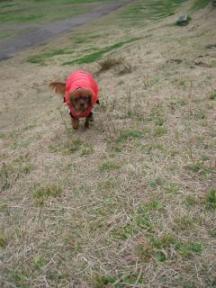 高原を走る～そら♪