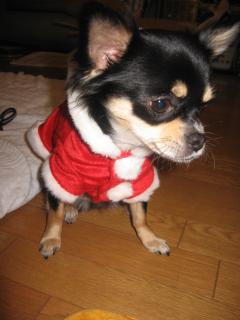 クッキ－サンタさん♪