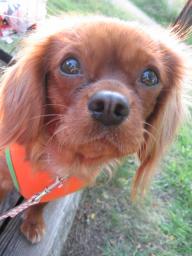 ♪楽しかったねっ♪そら