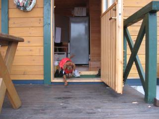 今日のお宿はｘｍａｓコテ－ジ