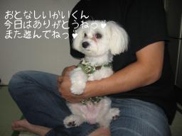 僕の安全地帯♪はココ