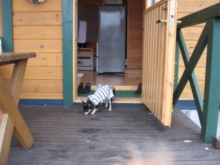 クッキ-もお宿点検♪クンクン