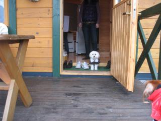 海くんもお宿点検♪したよ～ぉ♪