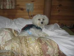 海くんもおねむタイムｚｚｚ