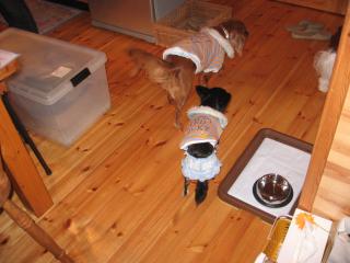 お部屋の中もチェックねっ♪