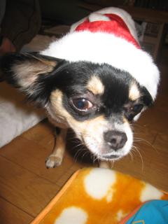 こんなに大きくなりました♪♪