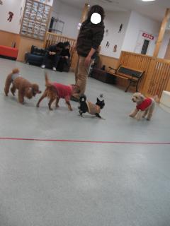 ♪ぽっぽぉ♪発車しますよ～