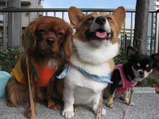 仲良し親子のように♪