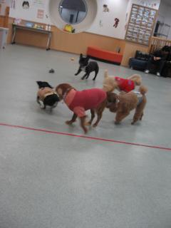 次は～ワンネバランど真ん中～