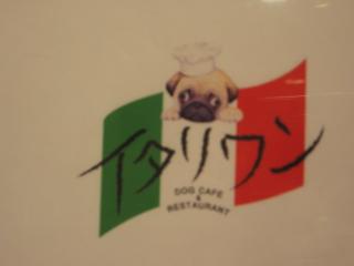 ここで♪♪今夜はディナ-