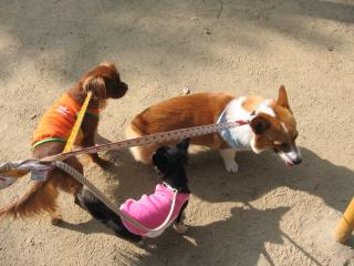 公園でデ－トなんちゃって