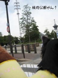 あっ・・ここわっ