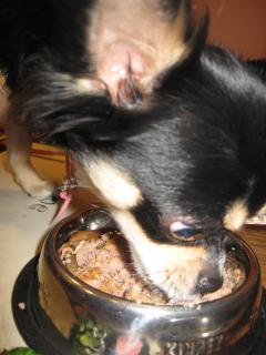 もぐもぐ♪おいしい～