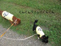 緑地公園にやってきた