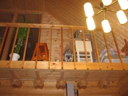 いらっしゃい♪♪