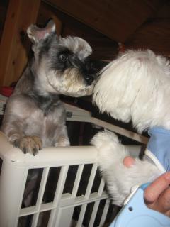 海くんもご挨拶♪♪