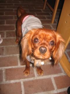 あたちのミルク♪♪注文した？