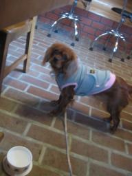 えっ・・・ないんですか（残念）