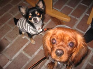 おやつをいただいちゃいました♪