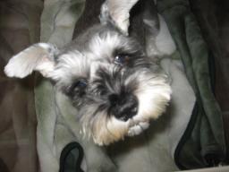 ありがとうございました♪また来てね♪ｂｙレオンくん