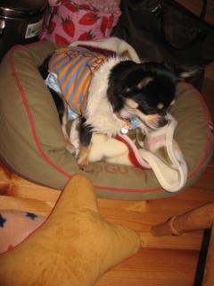 お部屋でくつろいで～