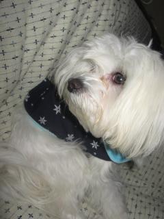 横顔も素敵でしょ♪